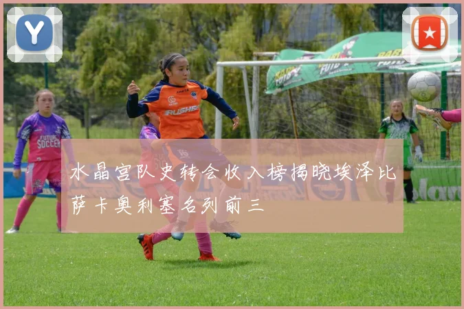 水晶宫队史转会收入榜揭晓埃泽比萨卡奥利塞名列前三