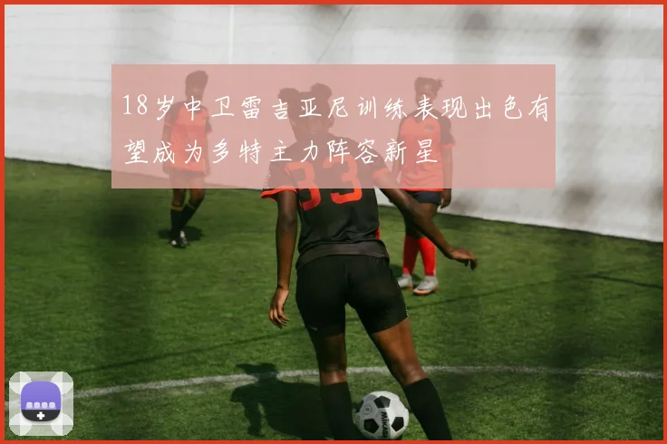 18岁中卫雷吉亚尼训练表现出色有望成为多特主力阵容新星