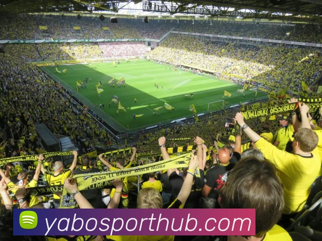 亚博体育APP 封面图